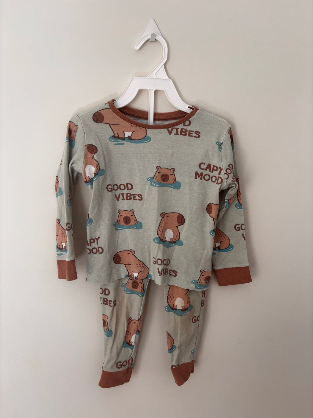 Conjunto Pijama de Frio Capivaras – Verde-água (Bebê)