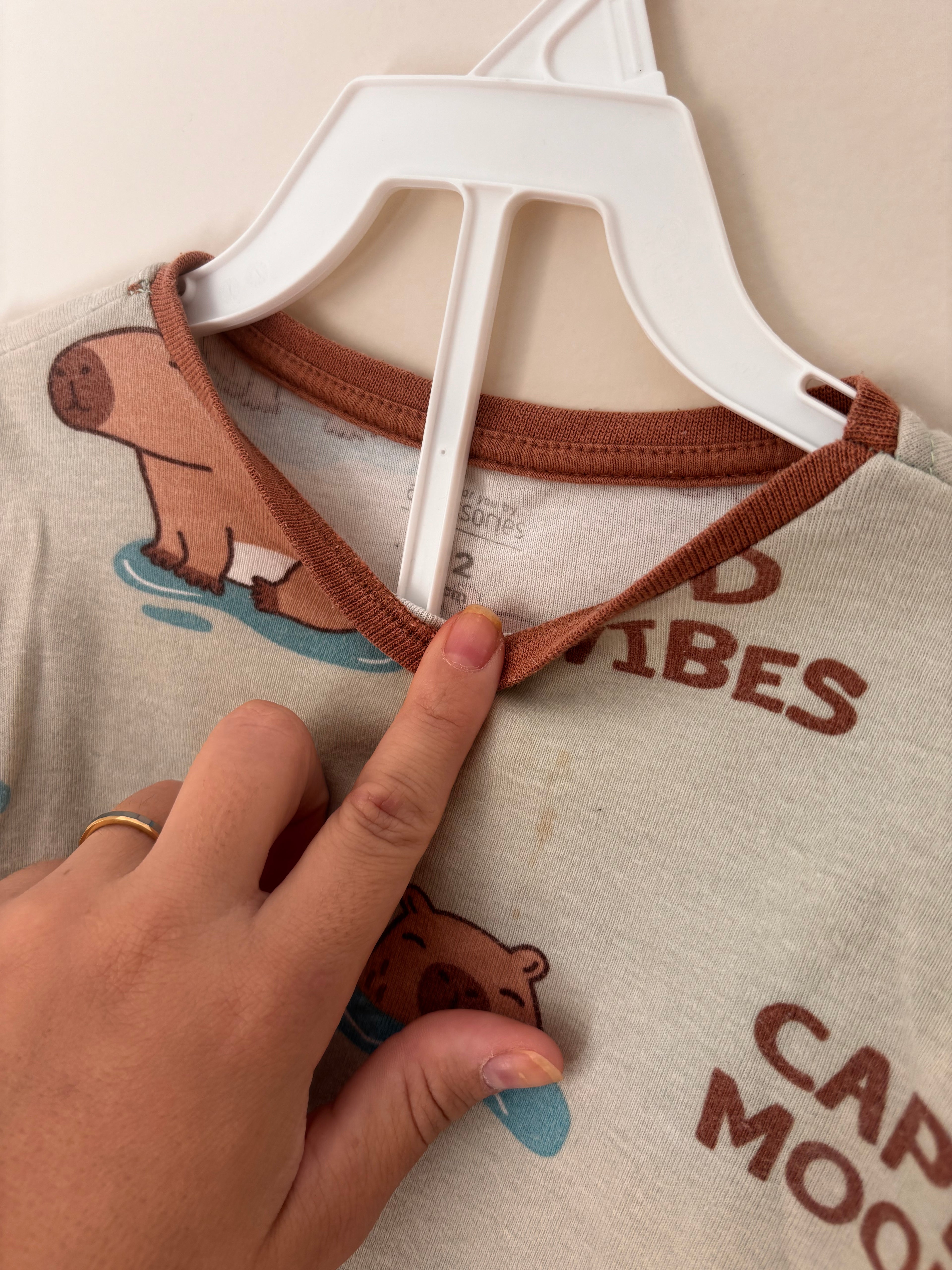 Conjunto Pijama de Frio Capivaras – Verde-água (Bebê)