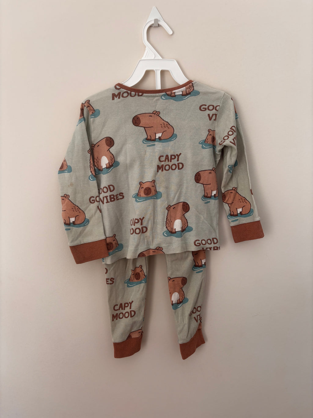 Conjunto Pijama de Frio Capivaras – Verde-água (Bebê)