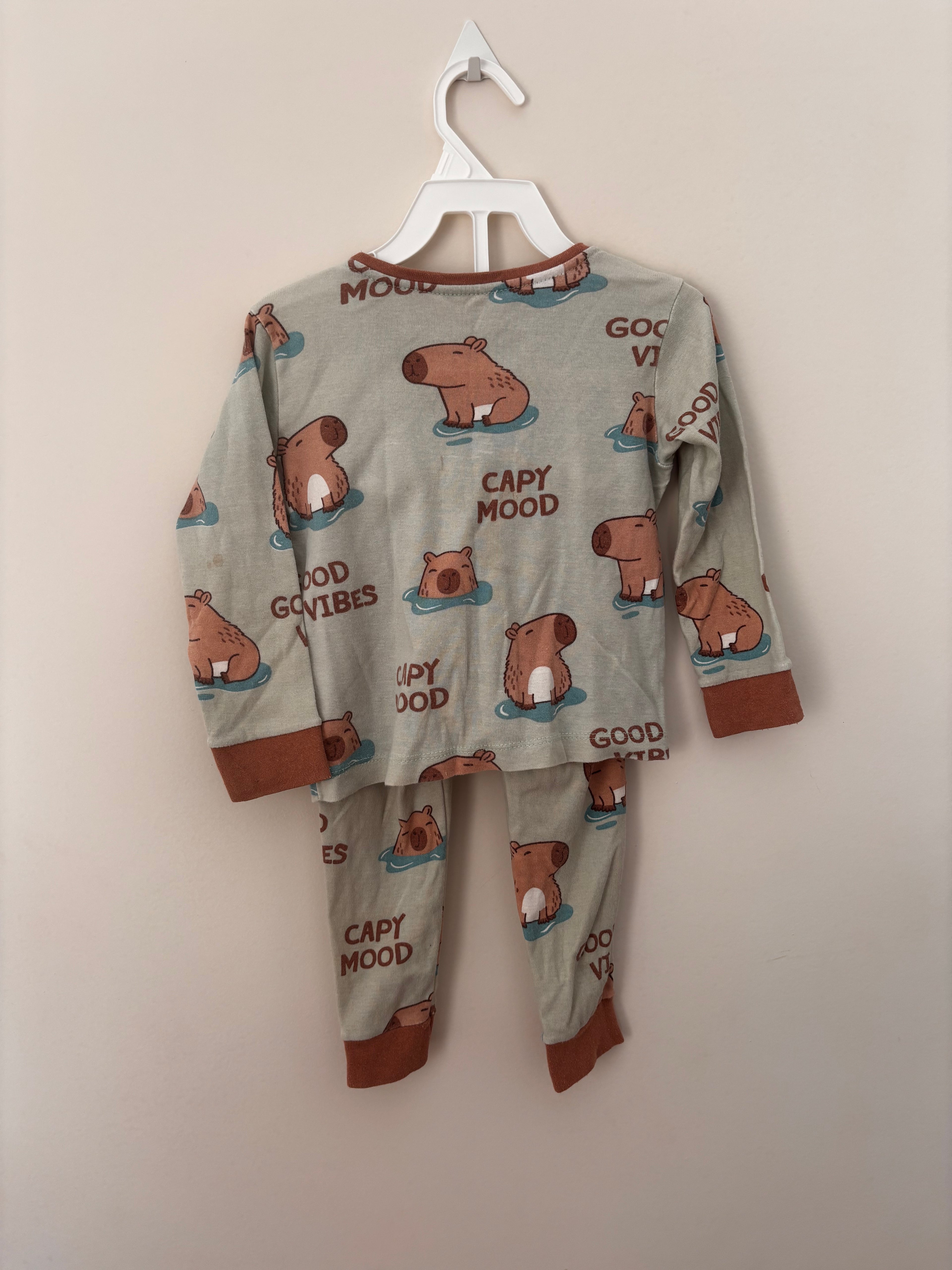 Conjunto Pijama de Frio Capivaras – Verde-água (Bebê)